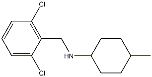 N-[(2,6-dichlorophenyl)methyl]-4-methylcyclohexan-1-amine 结构式