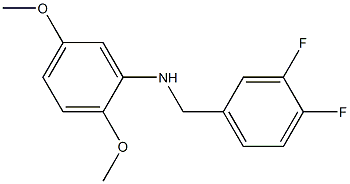 N-[(3,4-difluorophenyl)methyl]-2,5-dimethoxyaniline 结构式