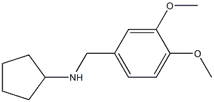 N-[(3,4-dimethoxyphenyl)methyl]cyclopentanamine 结构式