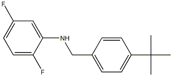 N-[(4-tert-butylphenyl)methyl]-2,5-difluoroaniline 结构式