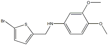N-[(5-bromothiophen-2-yl)methyl]-3,4-dimethoxyaniline 结构式