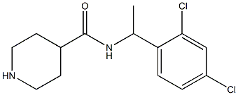 N-[1-(2,4-dichlorophenyl)ethyl]piperidine-4-carboxamide 结构式