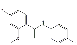 N-[1-(2,4-dimethoxyphenyl)ethyl]-4-fluoro-2-methylaniline 结构式