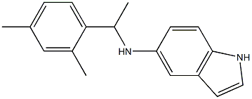 N-[1-(2,4-dimethylphenyl)ethyl]-1H-indol-5-amine 结构式