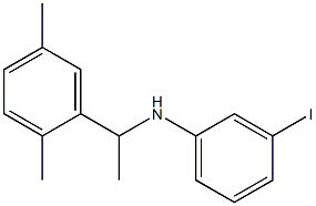 N-[1-(2,5-dimethylphenyl)ethyl]-3-iodoaniline 结构式