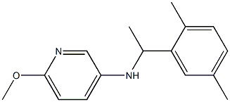 N-[1-(2,5-dimethylphenyl)ethyl]-6-methoxypyridin-3-amine 结构式