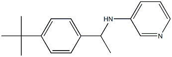 N-[1-(4-tert-butylphenyl)ethyl]pyridin-3-amine 结构式