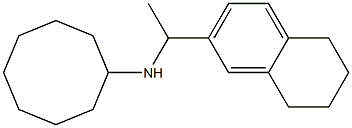 N-[1-(5,6,7,8-tetrahydronaphthalen-2-yl)ethyl]cyclooctanamine 结构式