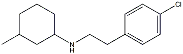 N-[2-(4-chlorophenyl)ethyl]-3-methylcyclohexan-1-amine 结构式