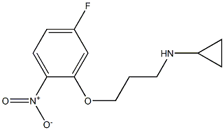 N-[3-(5-fluoro-2-nitrophenoxy)propyl]cyclopropanamine 结构式
