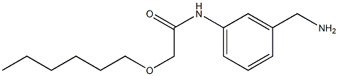 N-[3-(aminomethyl)phenyl]-2-(hexyloxy)acetamide 结构式