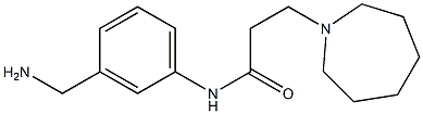 N-[3-(aminomethyl)phenyl]-3-azepan-1-ylpropanamide 结构式