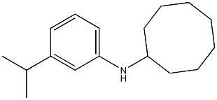 N-[3-(propan-2-yl)phenyl]cyclooctanamine 结构式