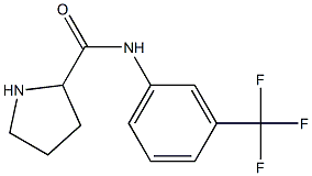 N-[3-(trifluoromethyl)phenyl]pyrrolidine-2-carboxamide 结构式