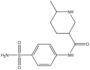 N-[4-(aminosulfonyl)phenyl]-6-methylpiperidine-3-carboxamide 结构式