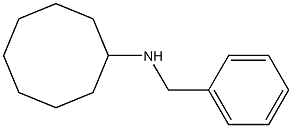 N-benzylcyclooctanamine 结构式