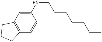 N-heptyl-2,3-dihydro-1H-inden-5-amine 结构式