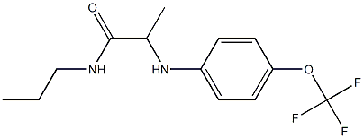 N-propyl-2-{[4-(trifluoromethoxy)phenyl]amino}propanamide 结构式