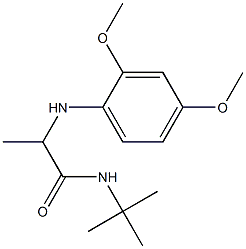 N-tert-butyl-2-[(2,4-dimethoxyphenyl)amino]propanamide 结构式