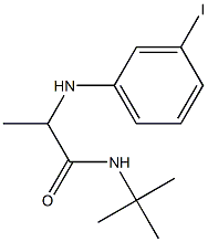 N-tert-butyl-2-[(3-iodophenyl)amino]propanamide 结构式