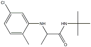 N-tert-butyl-2-[(5-chloro-2-methylphenyl)amino]propanamide 结构式