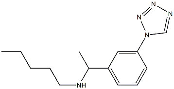 pentyl({1-[3-(1H-1,2,3,4-tetrazol-1-yl)phenyl]ethyl})amine 结构式