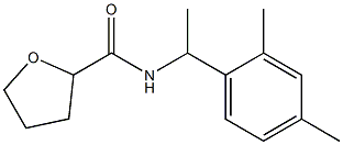 N-[1-(2,4-dimethylphenyl)ethyl]tetrahydro-2-furancarboxamide 结构式