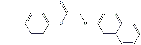 4-(tert-butyl)phenyl 2-(2-naphthyloxy)acetate 结构式