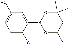 4-Chloro-3-(4,4,6-trimethyl-1,3,2-dioxaborinan-2-yl)phenol 结构式