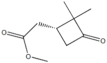 (1R)-3-Oxo-2,2-dimethylcyclobutane-1-acetic acid methyl ester 结构式