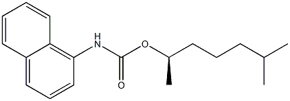 (-)-N-(1-Naphtyl)carbamic acid (R)-1,5-dimethylhexyl ester 结构式