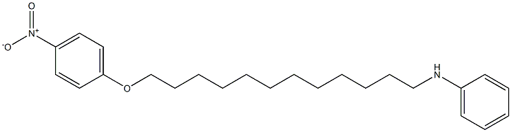 N-[12-(4-Nitrophenoxy)dodecyl]aniline 结构式