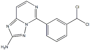 2-Amino-5-[3-dichloromethylphenyl][1,2,4]triazolo[1,5-c]pyrimidine 结构式