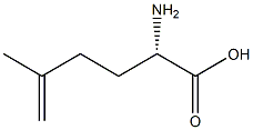 (S)-2-Amino-5-methyl-5-hexenoic acid 结构式