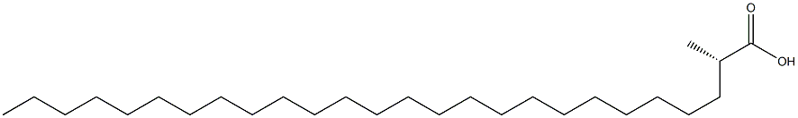 [S,(+)]-2-Methylhexacosanoic acid 结构式