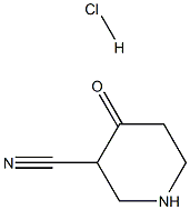 3-Cyano-4-piperidone hydrochloride 结构式