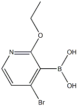 4-Bromo-2-ethoxypyridine-3-boronoc acid 结构式