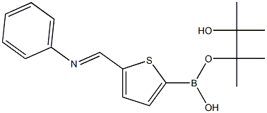 5-[(苯亚氨基)甲基]-2-噻吩基硼酸频那醇酯 结构式