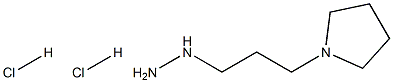 1-(3-(Pyrrolidin-1-yl)propyl)hydrazine dihydrochloride 结构式