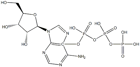 L-Adenosine 5-triphosphate 结构式
