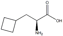 3-环丁基-D-丙氨酸 结构式