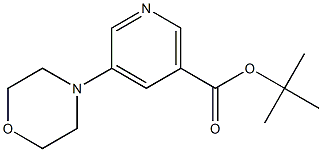 5-Morpholin-4-yl-nicotinic acid tert-butyl ester 结构式