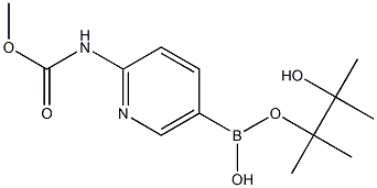 2-METHOXYCARBONYLAMINOPYRIDINE-5-BORONIC ACID, PINACOL ESTER 结构式