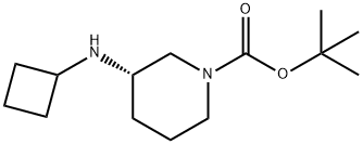 R-3-(Cyclobutylamino)-1-boc-piperidine
 结构式