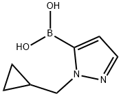 1-(环丙基甲基)-1H-吡唑-5-硼酸 结构式