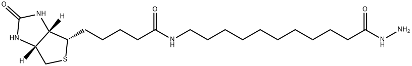 Biotin-SLC-Hydrazide 结构式