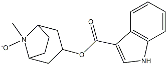 盐酸托烷司琼杂质4 结构式