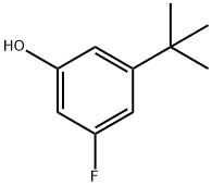 3-(叔丁基)-5-氟苯酚3-(叔丁基)-5-氟苯酚 结构式