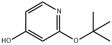2-(叔丁氧基)吡啶-4-醇 结构式