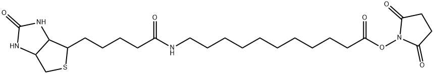 Biotin-SLC-NHS Ester 结构式